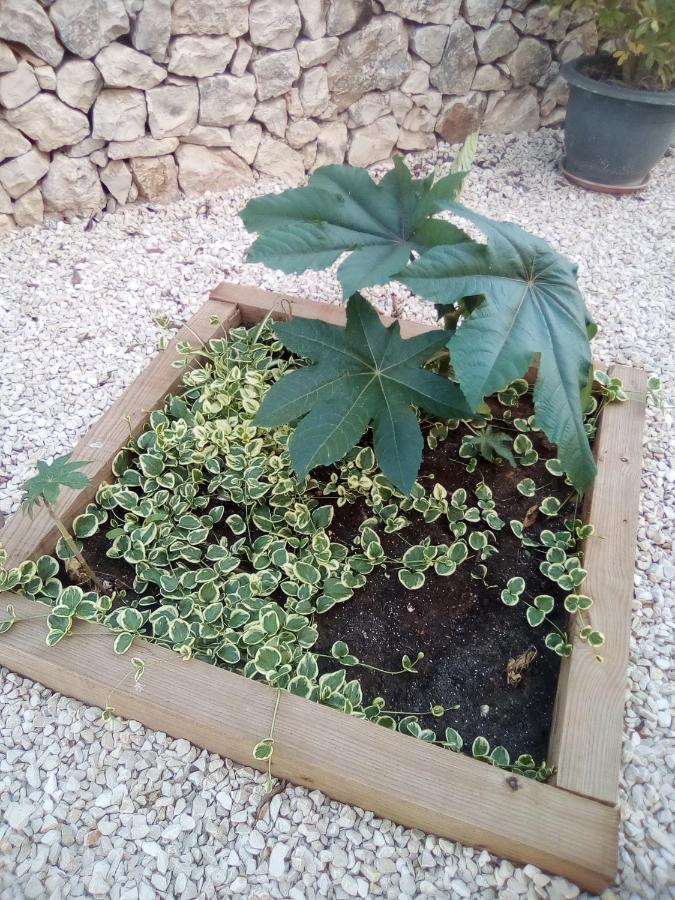 Casa Carmen Villa Calpe Kültér fotó